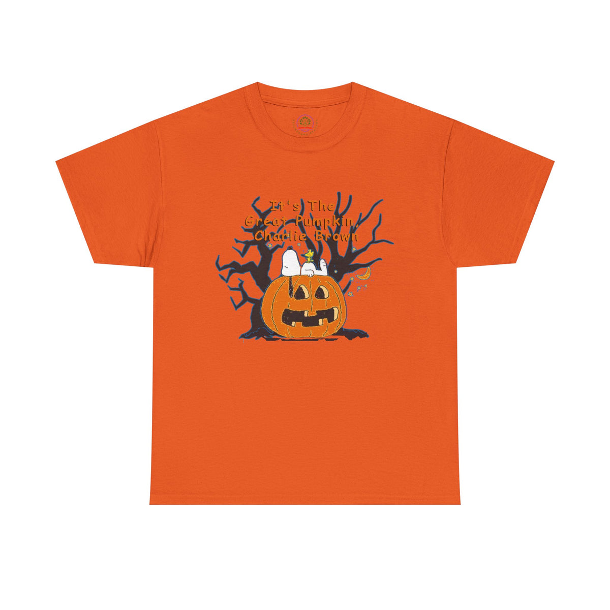 Pumpkin Tee, Spooky Fall T-Shirt, Halloween Charlie Brown Shirt, Snoopy - Secondhand Readers