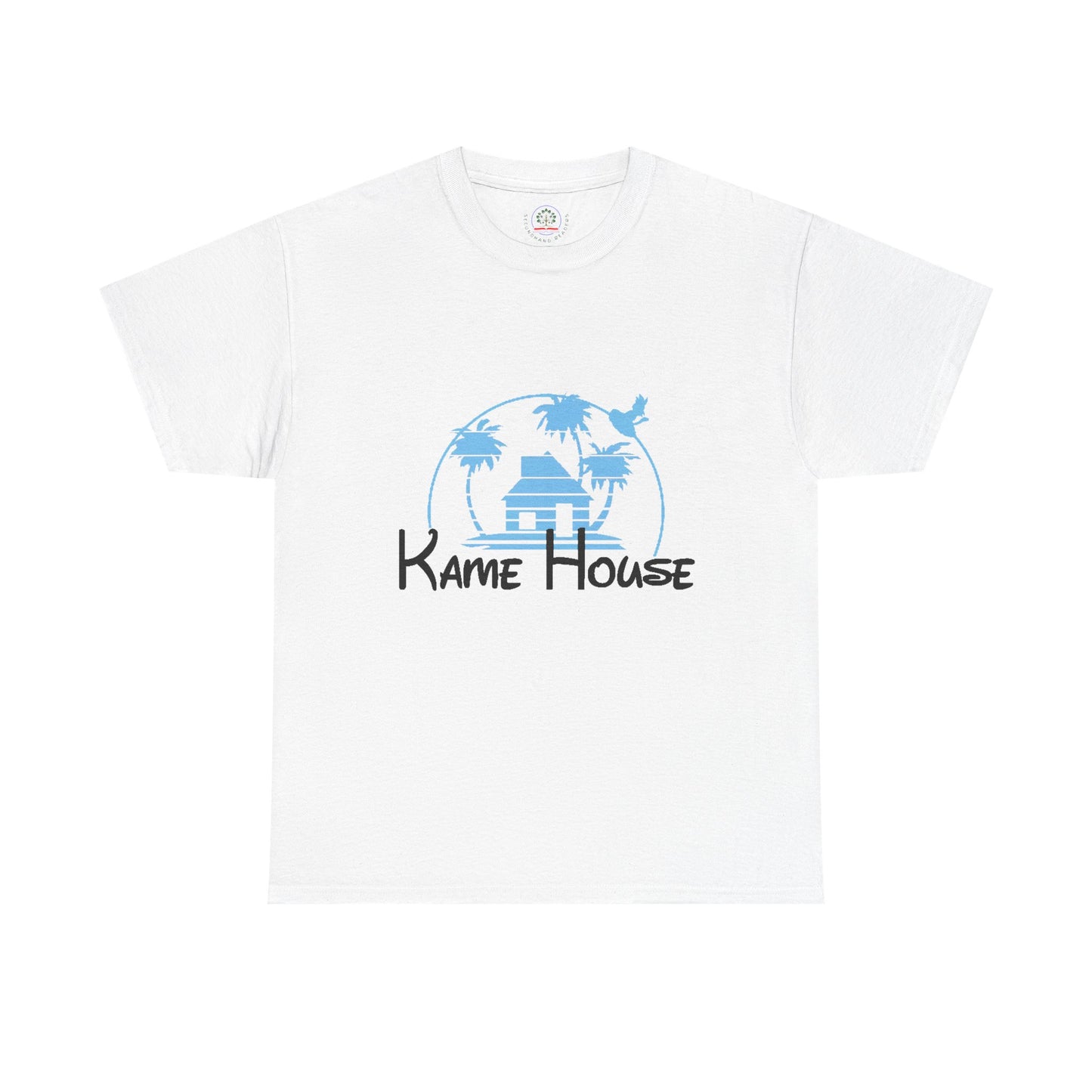 Anime Dragon Ball Inspired Kame House + Disney Buena Vista Logo T-Shirt