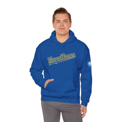 Venezuelan Baseball Fan, Navegantes del Magallanes Unisex Heavy Blend™ Hooded Sweatshirt