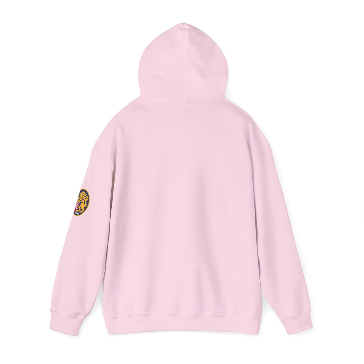 Venezuelan Baseball Fan, Leones del Caracas Unisex Heavy Blend™ Hooded Sweatshirt