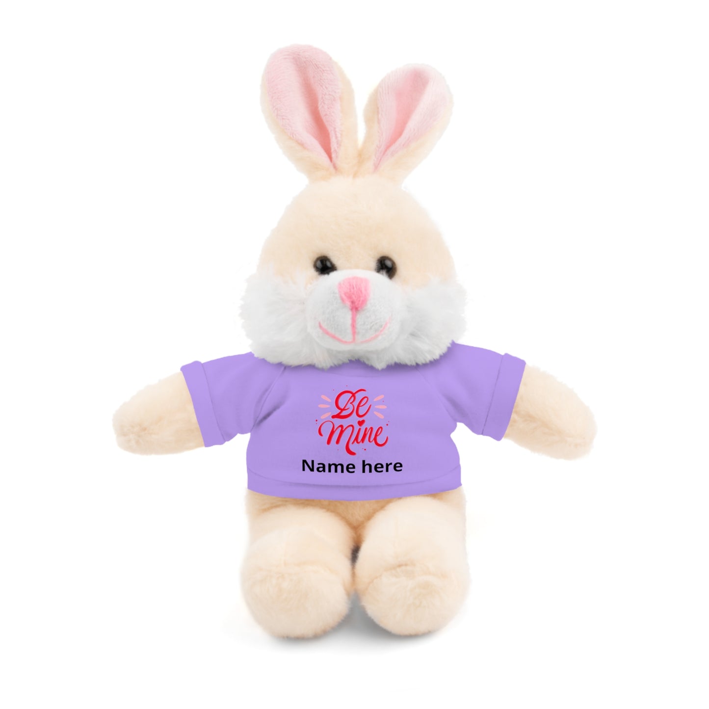Be Mine Heart Stuffed Animal with Tee, Personalized Name Valentine Plush