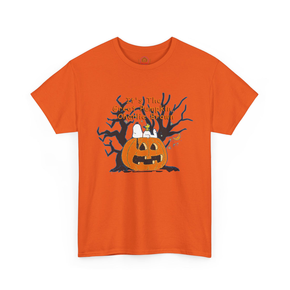 Pumpkin Tee, Spooky Fall T-Shirt, Halloween Charlie Brown Shirt, Snoopy - Secondhand Readers