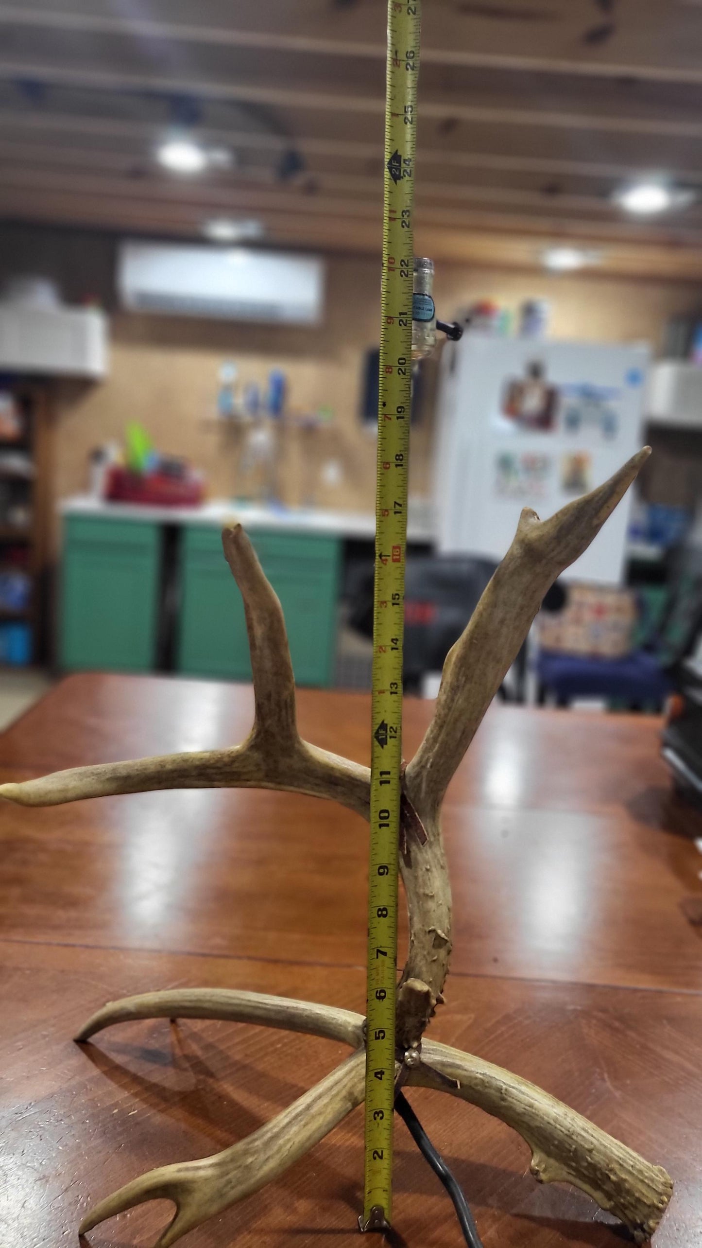 Vintage Deer Antler Table Lamp Rustic Lodge Cabin Decor