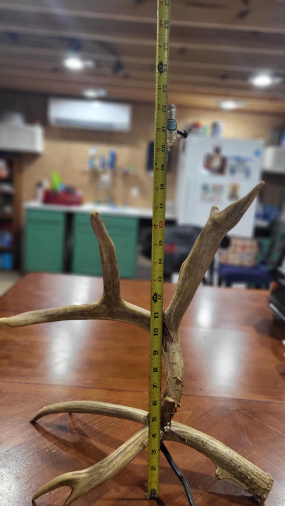 Vintage Deer Antler Table Lamp Rustic Lodge Cabin Decor