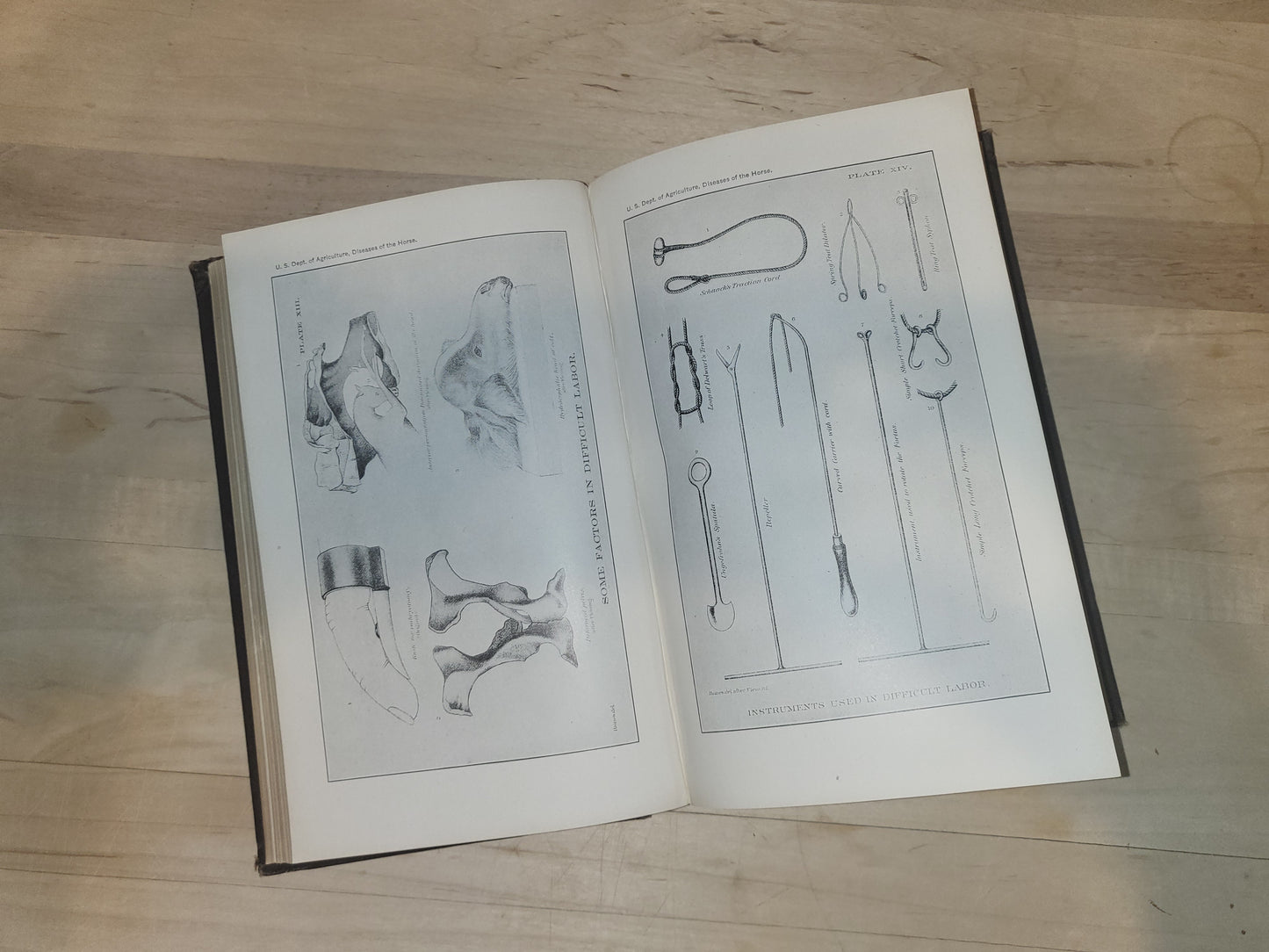 Special Report on Diseases of the Horse - Drs. Pearson, Michener, Law, Harbaugh, Trumbower, Liautard, Holcombe, Huidekoper, Stiles, Mohler, and Adams - 1916, Hardcover